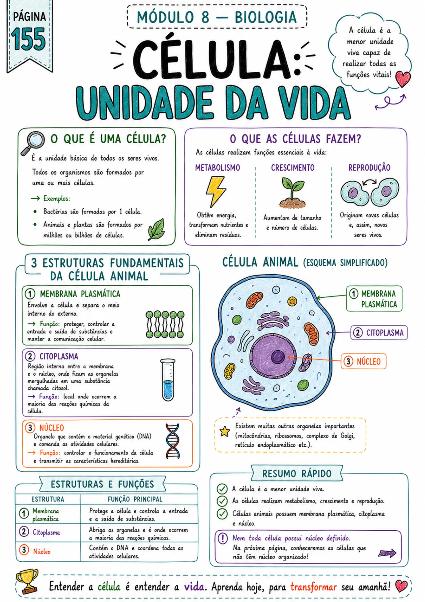 Página de resumo visual